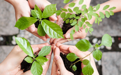 Was ist Deine Magie?