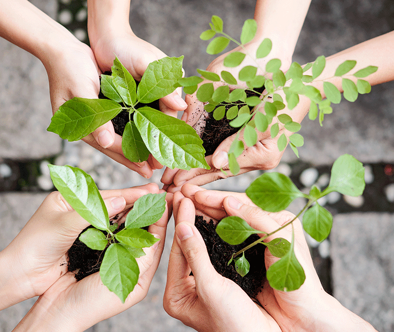 Was ist Deine Magie?