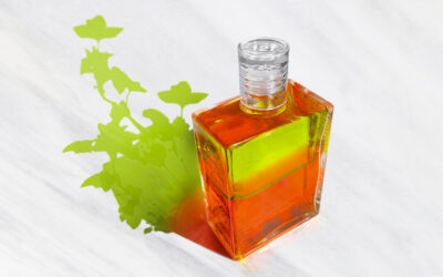 Einführung in die Aura-Soma Welt