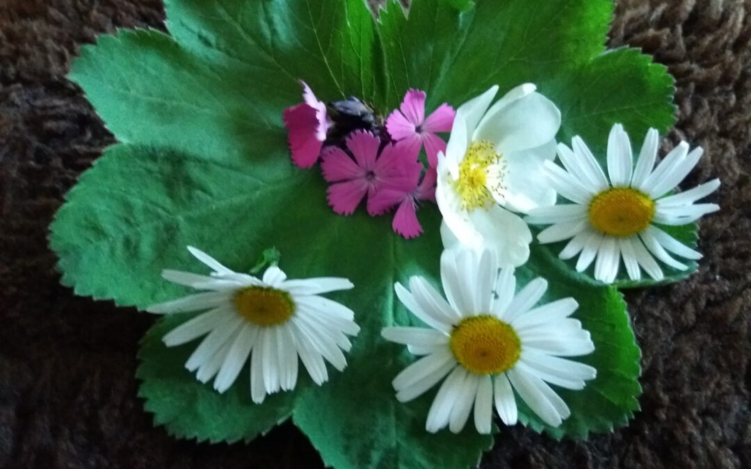 Unterstützende Botschaften im Juni