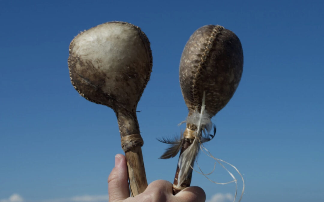 Rasselbau I 25. – 26.11.2023 in Fribourg CH