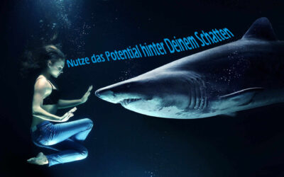 Blockierende Muster durchbrechen durch Schattenarbeit