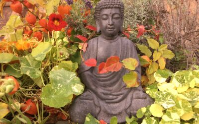 Gesund und stressfrei mit Polarity