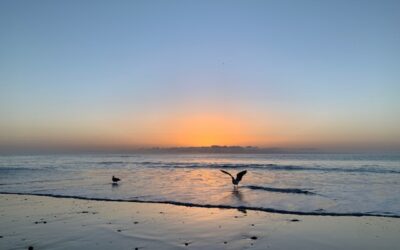 Polarity: Balance zwischen Entspannung und Aktivität wieder finden