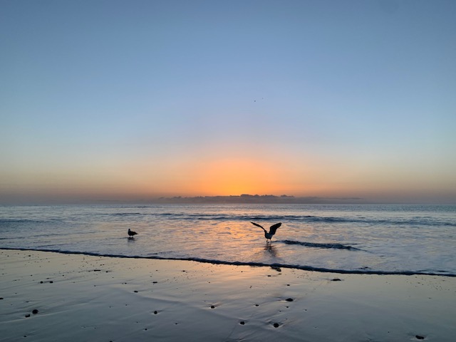 Polarity: Balance zwischen Entspannung und Aktivität wieder finden