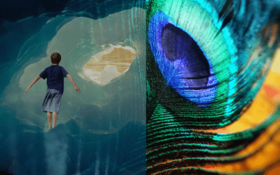 Ganz Ankommen – Botschaft im April