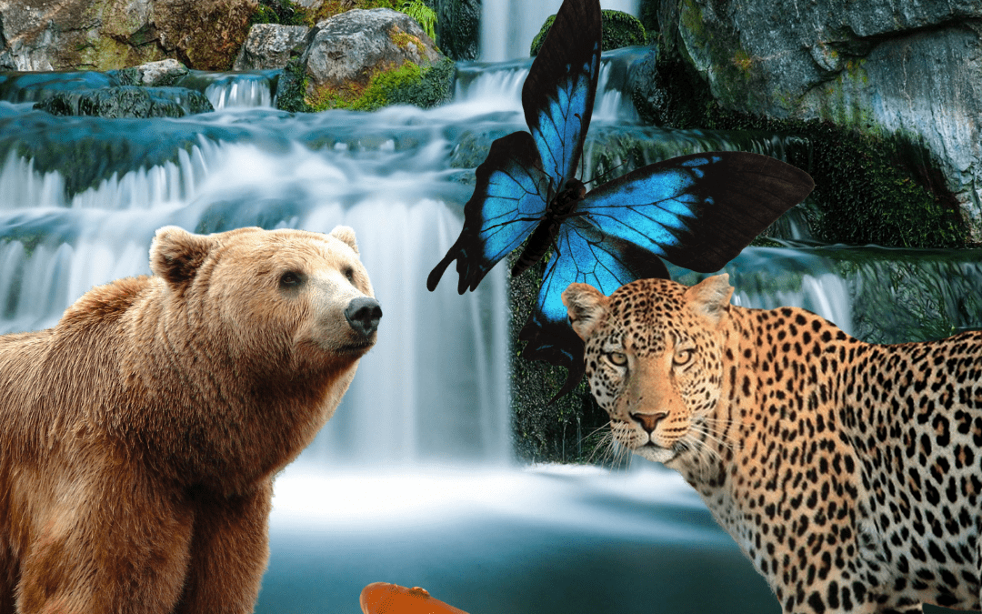 Nutzt Du Deine Kraftquellen?