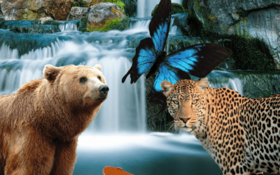 Nutzt Du Deine Kraftquellen?