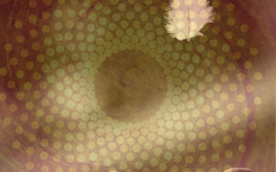 Wenn Loslassen der beste Weg ist, gebundene Energien wieder freizulegen.