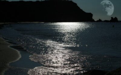 Botschaften im November: Heilsam den eigenen Raum einnehmen